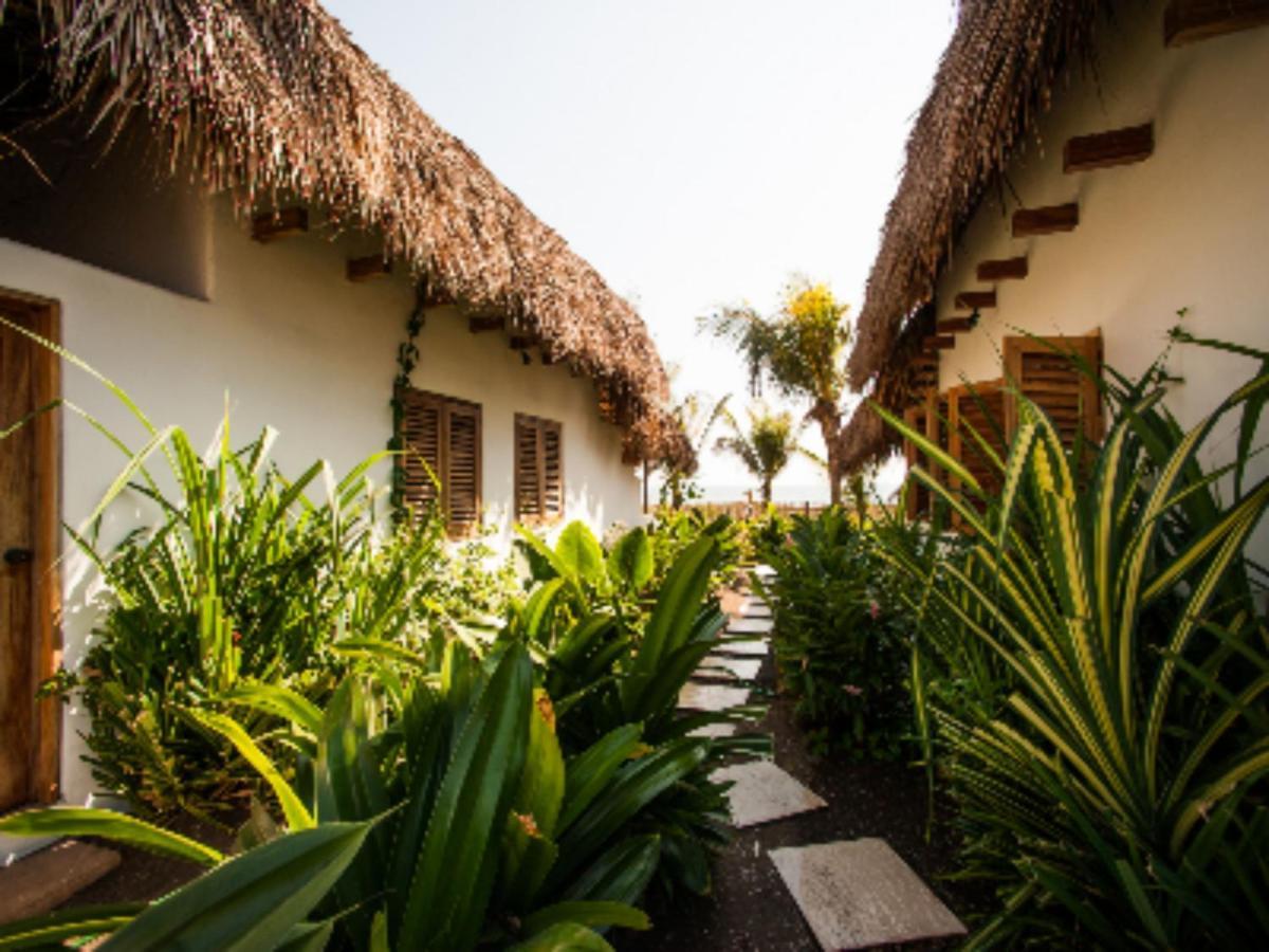 Hotel Paredon Surf House El Paredón Buena Vista Zewnętrze zdjęcie