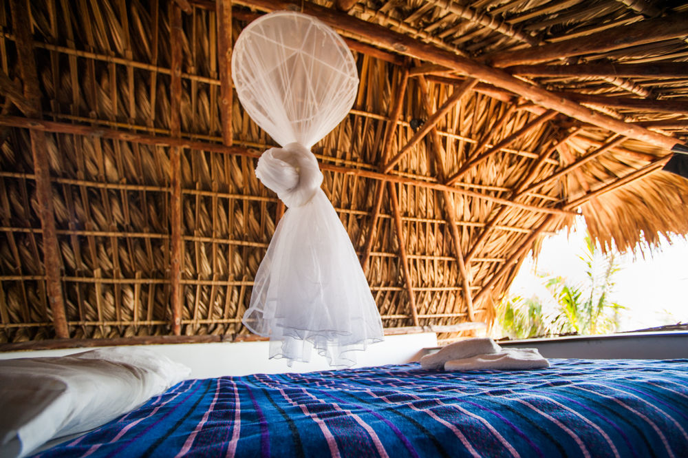 Hotel Paredon Surf House El Paredón Buena Vista Zewnętrze zdjęcie